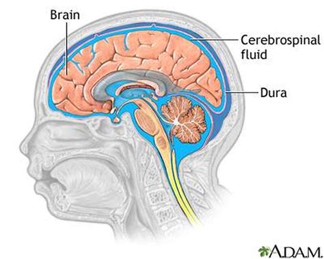 How Do You Know If You Have Cerebrospinal Fluid。